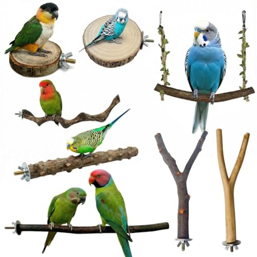 Health & Wellness Nurse Coach - 8 perchoirs en bois naturel pour