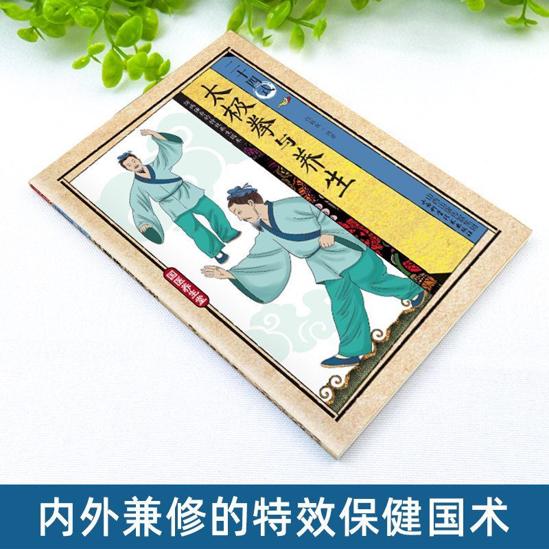 24 styles de Tai Chi et exerci - Health & Wellness Nurse Coach avis et prix