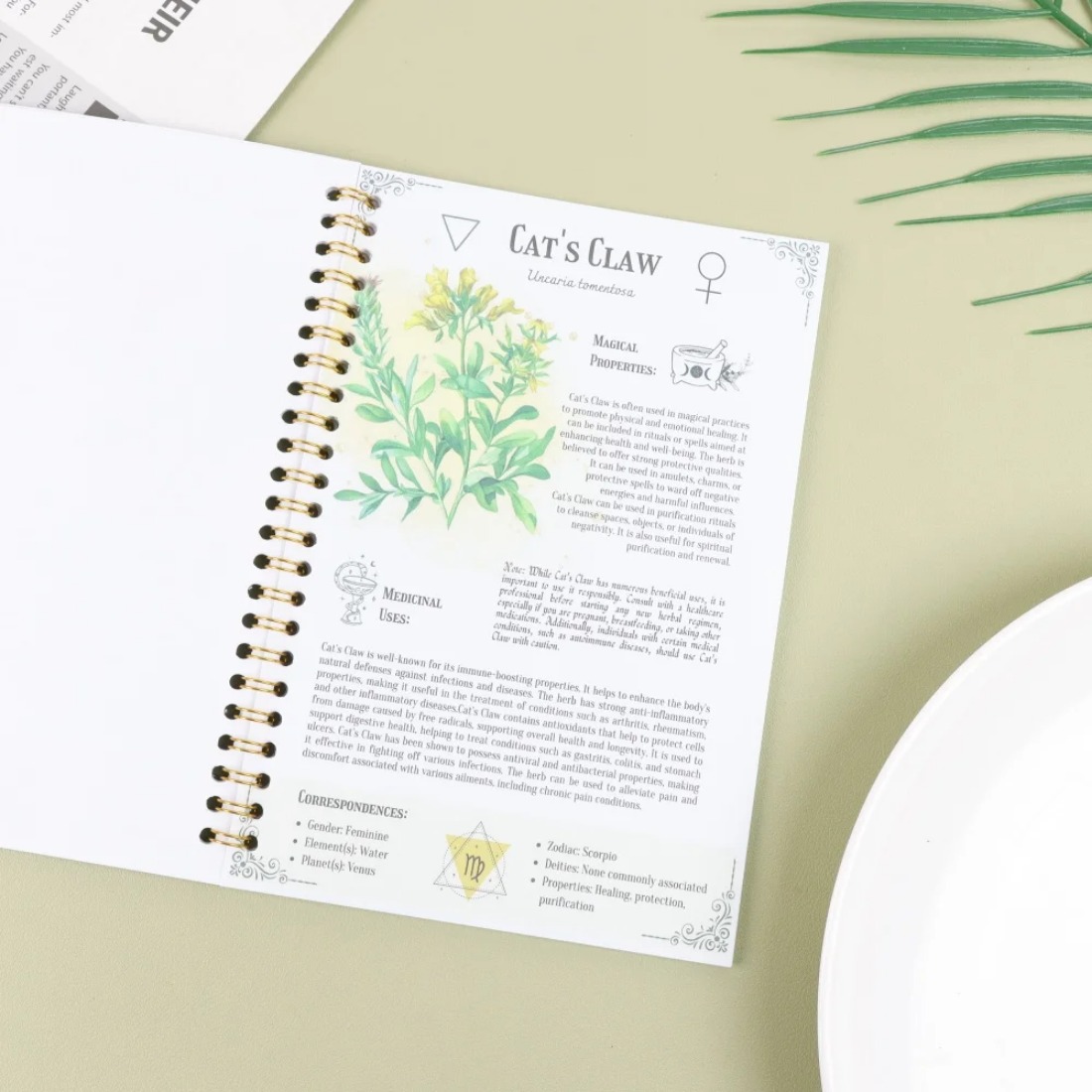 Carnet de guérison naturelle « - Health Wellness Journal avis et prix